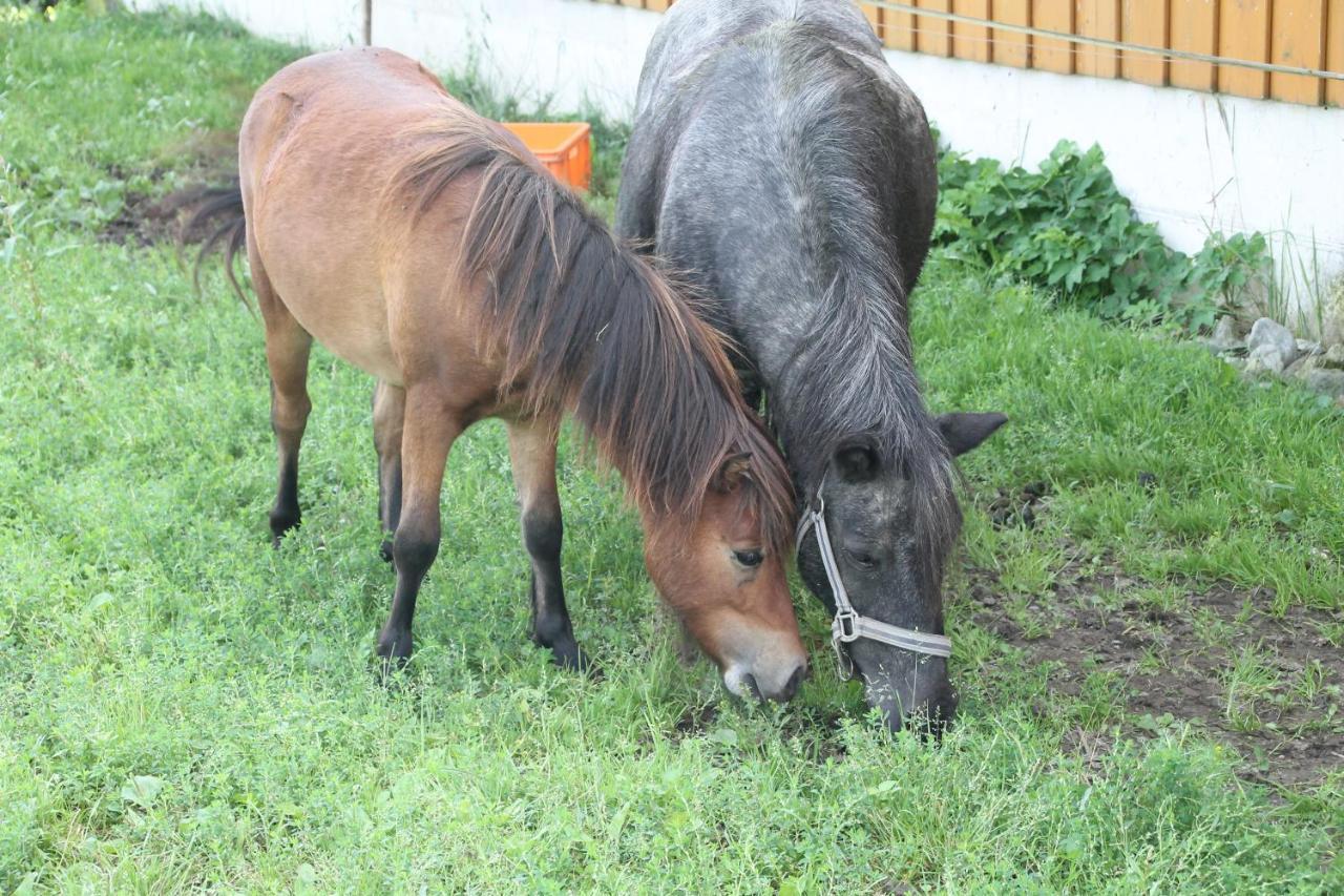 Apartament Boglerhof Uderns Zewnętrze zdjęcie